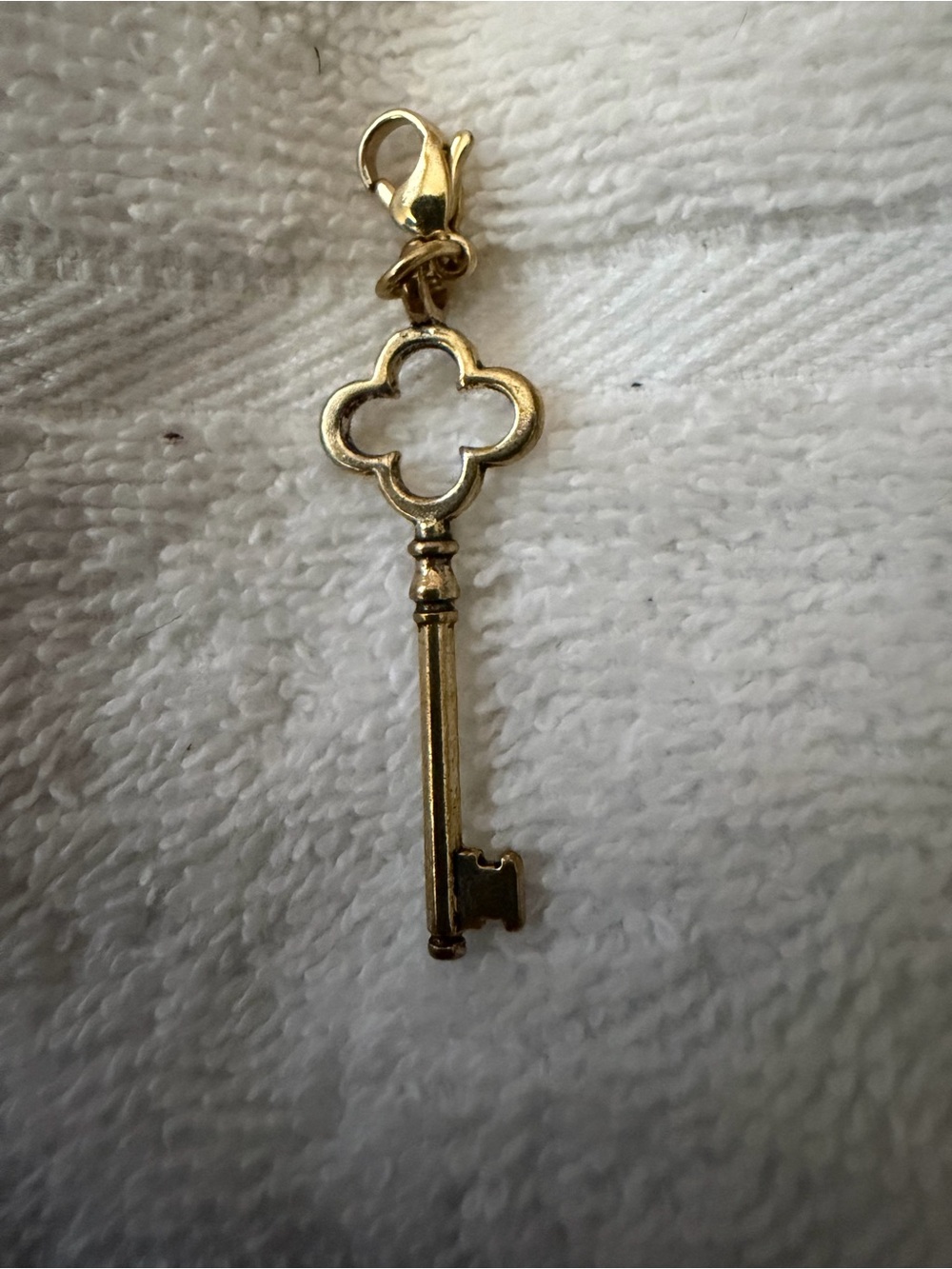 Origami Owl ~ Gold Skeleton Key Charm